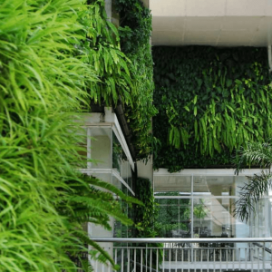 jasa-vertical-garden-lengkap
