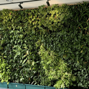 jasa-vertical-garden-solo-lengkap